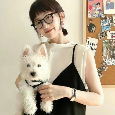 阿尔法 (2019年电影)